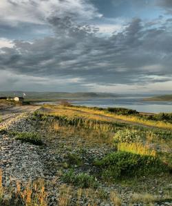 Местный пейзаж