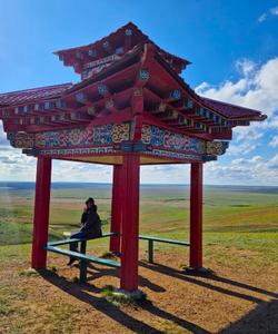 Одинокий тополь, Калмыкия