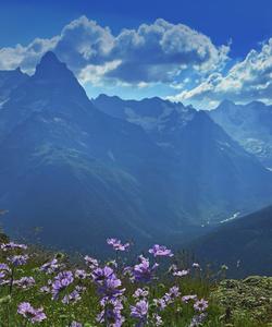 Тур в Домбай