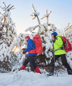 Горнолыжный отдых