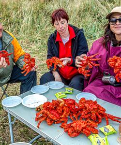 Дальневосточные крабы