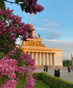 тур в Москву