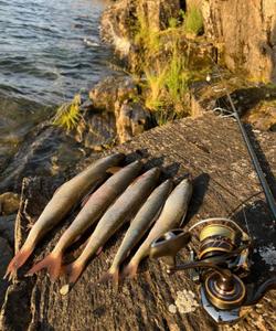 Рыбалка на Байкале