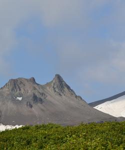 Экструзия Верблюд