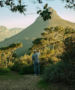  Гора Львиная Голова в Кейптауне