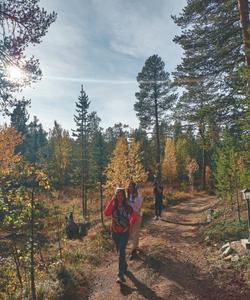 Кандалакша