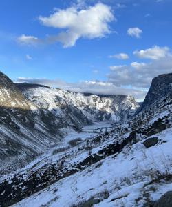 Природа Алтая