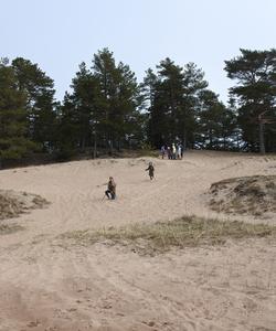 Дюны на берегу Ладоги