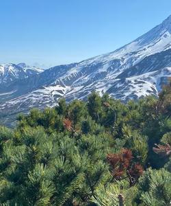 Вилючинский перевал