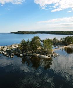 Местный пейзаж