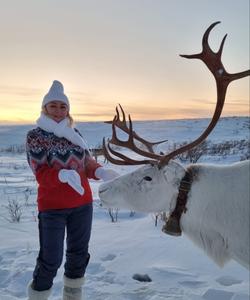 северный олень