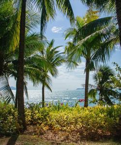 Пляж на Индийском океане