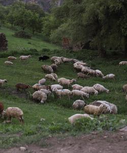 Тур в Дагестан