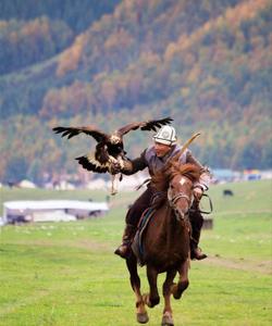 Охота с беркутом