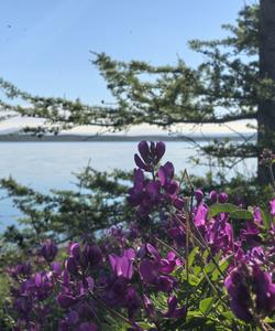 Тур на плато Путорана