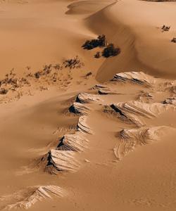 Бархан Сарыкум