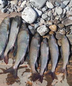 Рыбалка на сибирской реке