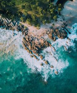 Побережье Шри-Ланки