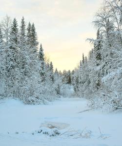 Зимняя рыбалка в Республике Коми