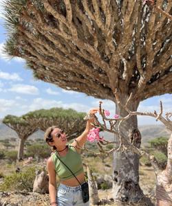 Драконово дерево