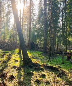 Поход по Большой Валдайской тропе