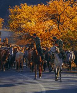 Осенний тур в Дагестан