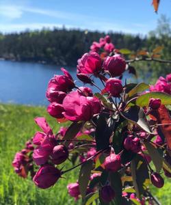 Тур в Карелию