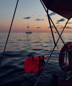 Местный пейзаж