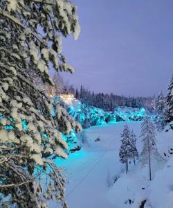 Снежный лес