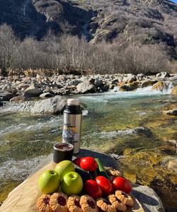 Горная Дигория