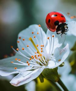 Тур в Башкирию