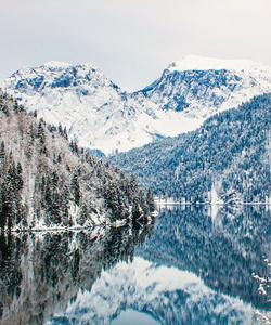 Местные пейзажи