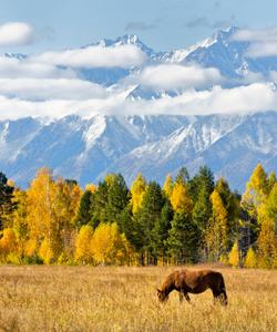 Тункинская долина