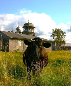 Тур по Архангельской области