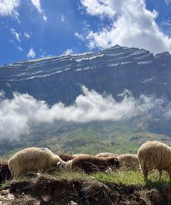Аул Куруш в Дагестане