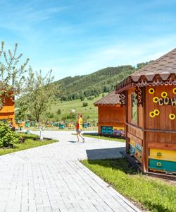 Пасека на Алтае