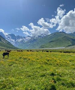 Горный пейзаж