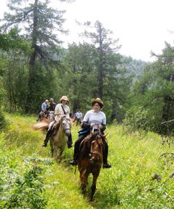 конный тур в Башкирии