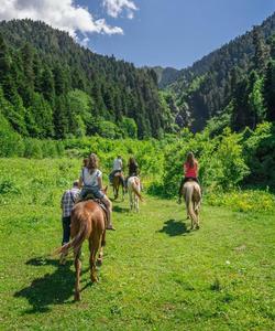Архыз, конная прогулка