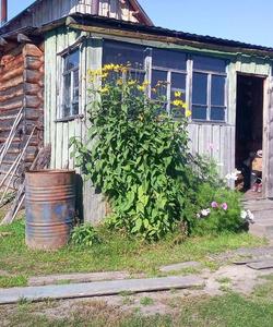 Тур в глубинку Сибири