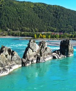 Зубы дракона