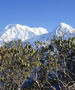 Аннапурна в Гималаях