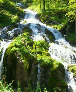 Местные пейзажи