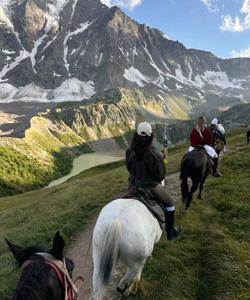 Конная прогулка на Алтае