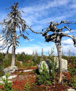 Воттоваара