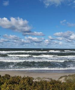 Тур на побережье Балтийского моря