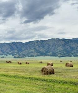Усть-Коксинский район Алтая