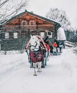 Деревня Мандроги