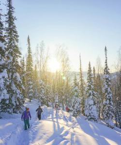 Поднебесные Зубья на Новый год