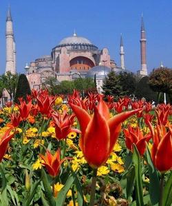 Фестиваль тюльпанов